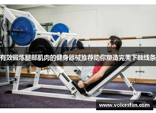 有效锻炼腿部肌肉的健身器械推荐助你塑造完美下肢线条
