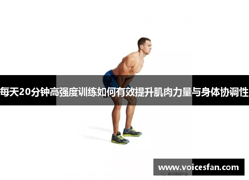 每天20分钟高强度训练如何有效提升肌肉力量与身体协调性