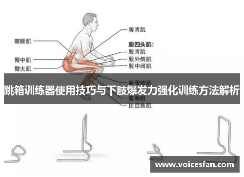 跳箱训练器使用技巧与下肢爆发力强化训练方法解析
