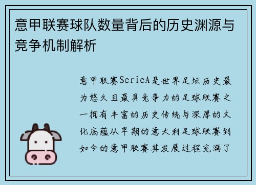 意甲联赛球队数量背后的历史渊源与竞争机制解析