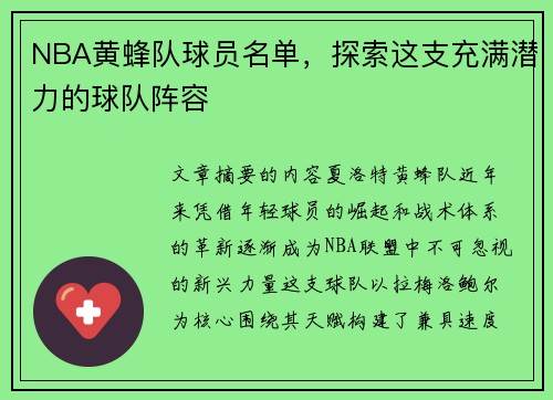 NBA黄蜂队球员名单，探索这支充满潜力的球队阵容