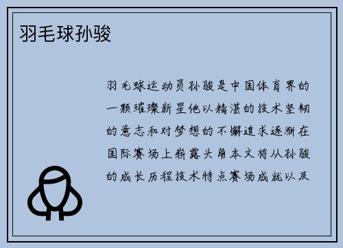 羽毛球孙骏
